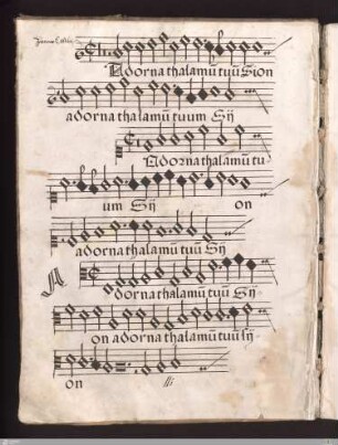 Joannes Castileti : Adorna thalamum