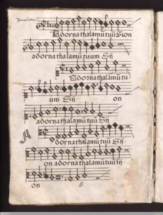 Joannes Castileti : Adorna thalamum