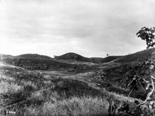 Hügellandschaft : Hügellandschaft mit Grasvegetation