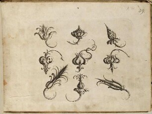 Sieben Blüten, Blatt aus dem "Neuw Grotteßken Buch"