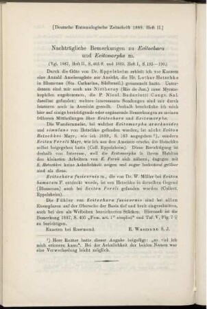 Nachträgliche Bemerkungen zu Ecitochara und Ecitomorpha m.