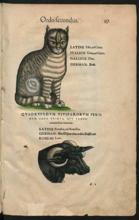 Quadrupedum Viviparorum Ferorum Ordo Primus ...