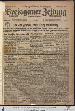 Nr. 176-206 (Juli 1917)
