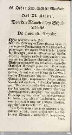 Das XI. Kapitel. Von den Mäuslein des Schulterblatts. De musculis scapulae