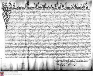 Lothar Franz Kurfürst v. Mainz belehnt Franz Philipp Caspar und Anselm Casimir Wambold v. Umstadt mit dem Hof zu Kleestadt
