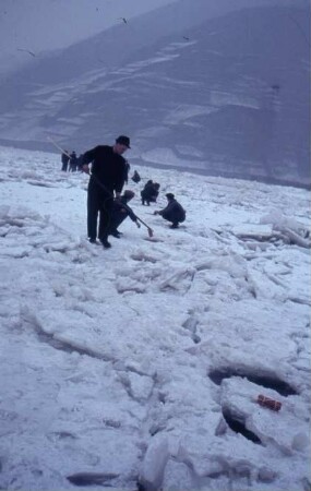 Eissprengung wird vorbereitet/Mosel