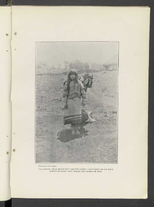 Plate LXXVIII.