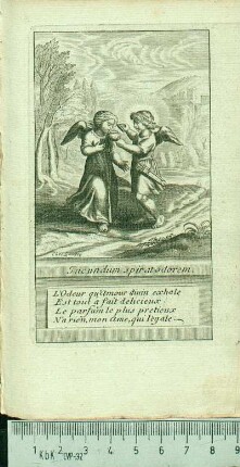 Iucundum spirat odorem.