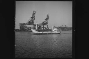 Seerose ex Peter Frese-62 (1952), Tiedemann, Hamburg