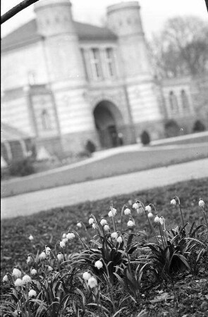 Frühling im Botanischen Garten.