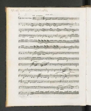 Viola 2da.