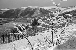 Vogtsburg: Verschneiter Kaiserstuhl, Badberg, Vordergrund Reben