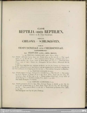 Ordnung Chelonia - Schildkröten