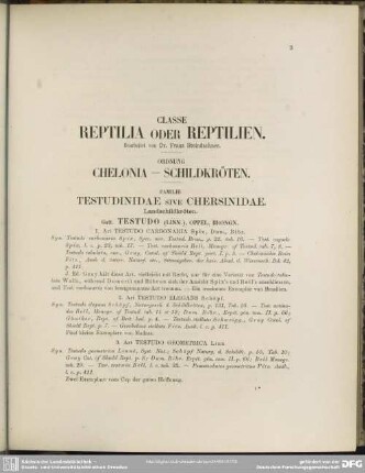 Ordnung Chelonia - Schildkröten