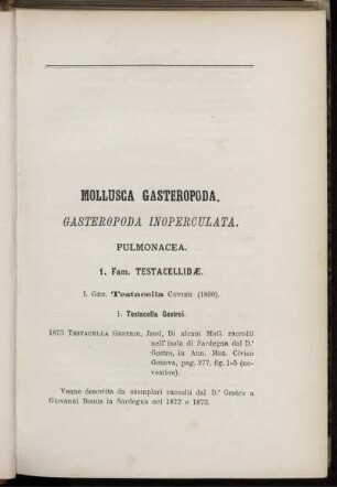 Mollusca Gasteropoda.