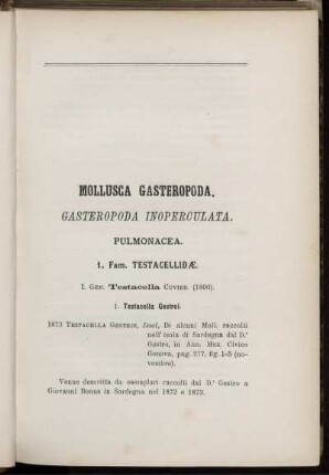 Mollusca Gasteropoda.