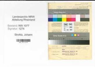 Entnazifizierung Johann Strolka , geb. 12.05.1895 (Polizist)