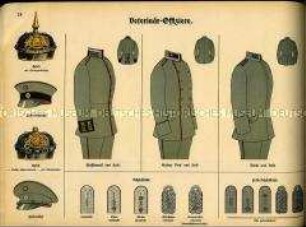 Uniformdarstellung, Schema der Helme, Waffenröcke, Hosen und Achselstücke von Bayerischen Veterinär-Offizieren, Deutsches Kaiserreich, 1916.