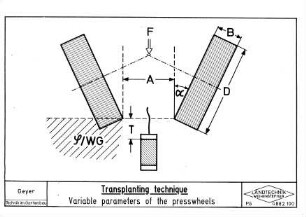 Transplanting technique