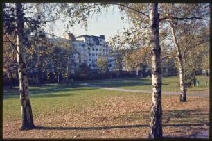 Blick in den Volkspark Wilmersdorf