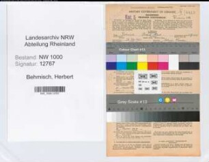 Entnazifizierung Herbert Behmisch, geb. 24.07.1903 (Bankangest.)