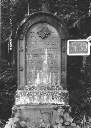 Grabstein 532 (Index: 99895470) Material: Sandstein Zustand: leicht bewachsen Maße HxBxT: 132x58x20 cm Beschreibung: Stele mit Rundbogenabschluss, kleiner Verdachung; Sockel Symbolik: Blüte: Grabstein 532