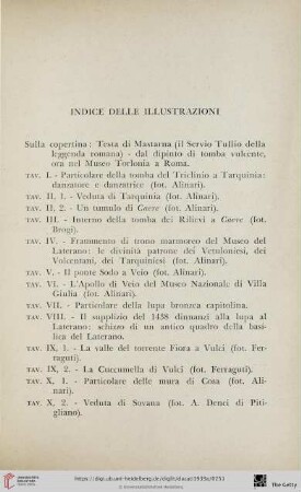 Indice delle illustrazioni