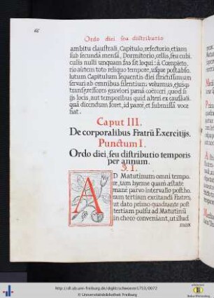 Caput III. De corporalibus fratris exercitiis.