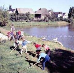 Leben im Dorf Hohburg (Wurzen): Kinder pflegen das Ufer des Dorfteichs