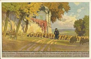 Im dunklen Purpurkleide [...]