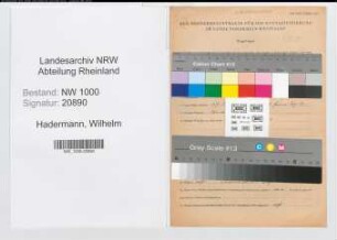 Entnazifizierung Wilhelm Hadermann, geb. 21.03.1909 (Zugschaffner)