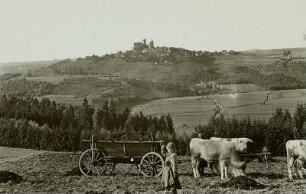 Burg Leuchtenberg : Burg Leuchtenberg von Süden, Mist breiten