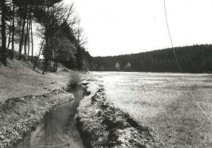 Breites Wiesental mit Bachlauf und Wellenfurchen