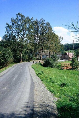 Dorfstraße, Blick vom Ortsausgang Richtung Roth a.d.Höh zur Ortsmitte