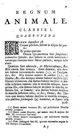 Classis I. Quadrupeda