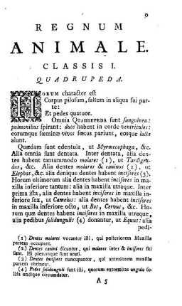 Classis I. Quadrupeda