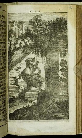 XLVIII.