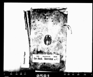 Gerichtshandelsbuch von Hainichen, Bd. 01