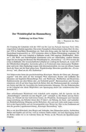 Der Weinlehrpfad im Hummelberg - Einführung