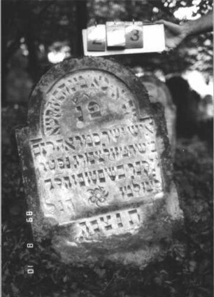 Grabstein 293 (Index: 99799839) Material: Sandstein Zustand: verwittert, schräg geneigt Maße HxBxT: 92x65x9 cm Beschreibung: Stele, eingezogener Rundbogenabschluß, Schriftfeld eingetieft Symbolik: Rosette: Grabstein 293