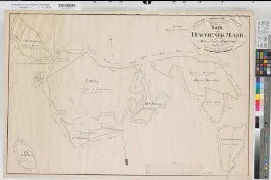 Neheim-Hüsten (Arnsberg), Teilung der Hachener Mark, Reinkarte Sektion I Effenberg