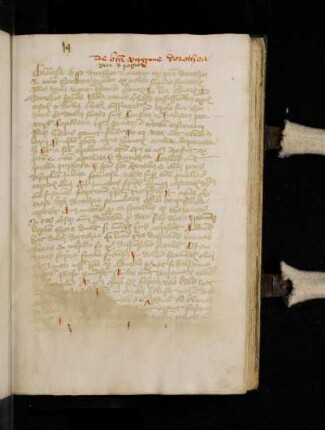 De sancta Dorothea. Ex opere 'Paratus'. De beata virgine Dorothea. Vita et passio