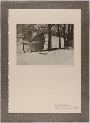 Winter Landscape