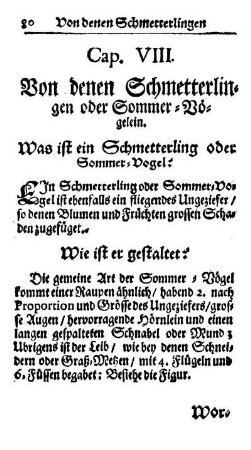 Cap. VIII. Von denen Schmetterlingen oder Sommer-Vögelein.