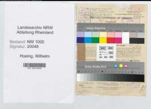 Entnazifizierung Wilhelm Hoeing, geb. 02.02.1908 (Ingenieur)