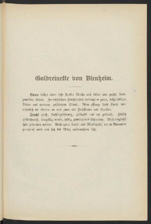Goldreinette von Blenheim.