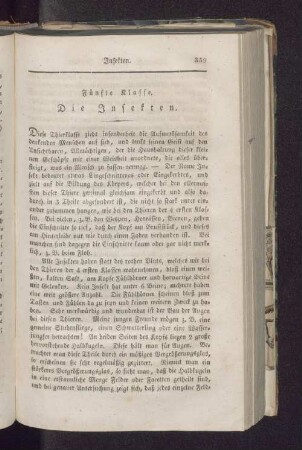 Fünfte Klasse. Die Insekten.