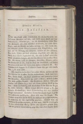 Fünfte Klasse. Die Insekten.