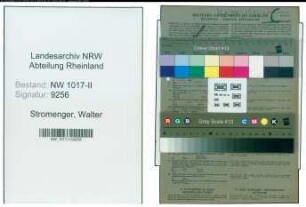 Entnazifizierung Walter Stromenger , geb. 02.02.1909 (Gartenmeister)
