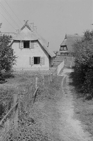 Darßer Landschaft